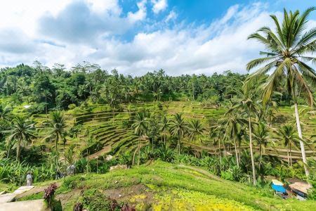 The Kanjeng Resort Ubud - 7
