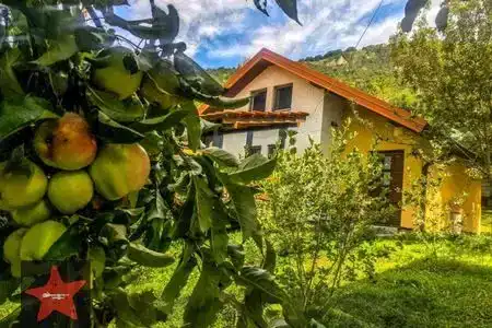 Guesthouse Zvono - 6