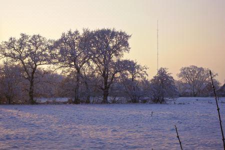 Waldquelle - 8