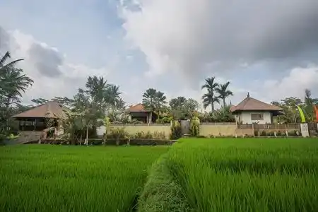 Ubud Luwih Nature Retreat - 3