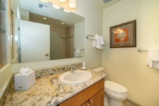 Kapalua Villas Maui - 28