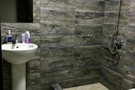 Borjomi Central - 22