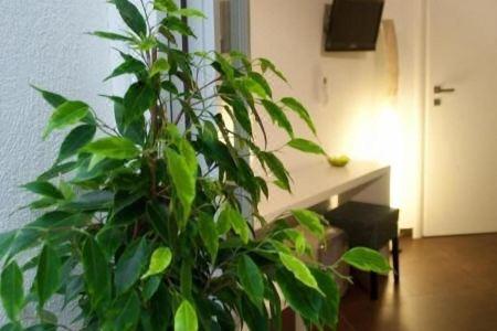 B&B Carella - 8