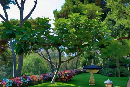 Villa Brunella - 1