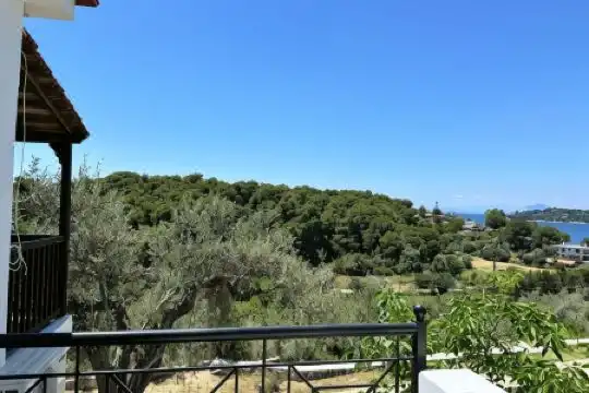 Pansion Pandora - 22