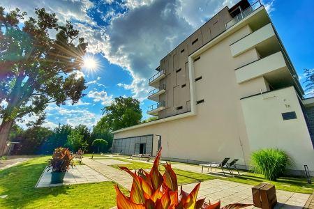 Imola Platan - 2