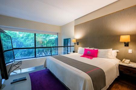Las Suites Campos Eliseos - 63