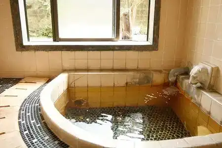 Shin Kameya - 5
