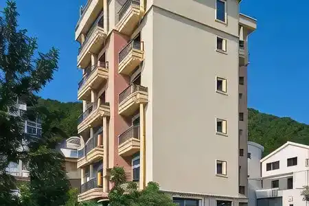 Vladimir - 1