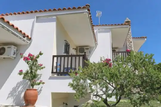 Pansion Pandora - 19