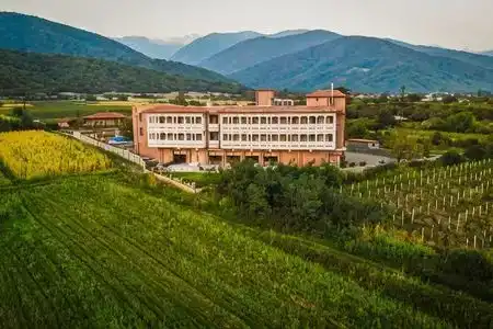Chateau Artwine - 7