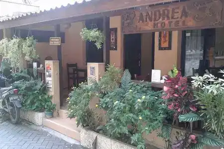 Andrea - 3