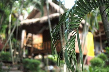 Little Eden Bungalows - 25
