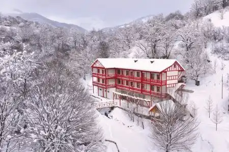 Dilijan Nature Cottage - 8