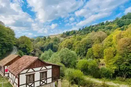 Dilijan Nature Cottage - 0