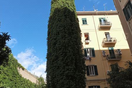 Non ci resta che Napoli - 2