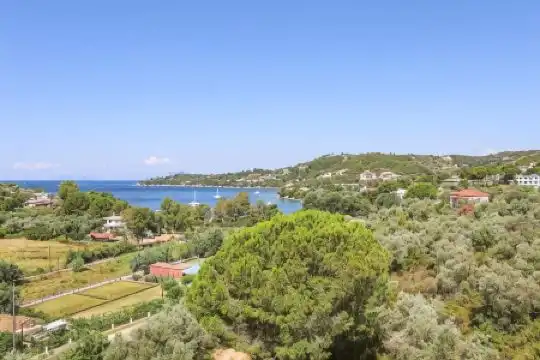 Pansion Pandora - 16