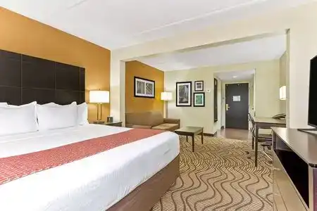 Comfort Inn & Suites Tampa North I-75 - 1