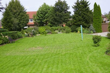 Waldquelle - 7