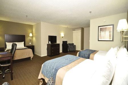 Comfort Inn Sandusky - 46