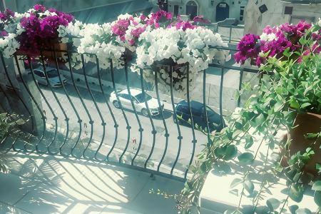 B&B Al Vecchio Borgo - 7