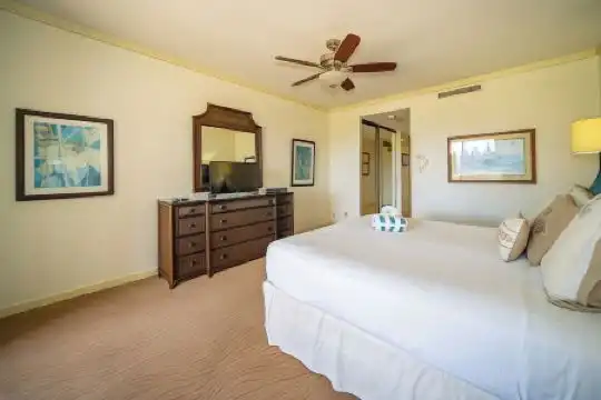 Kapalua Villas Maui - 24