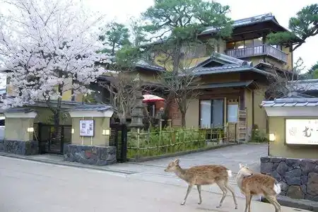 Koto No Yado Musashino - 0