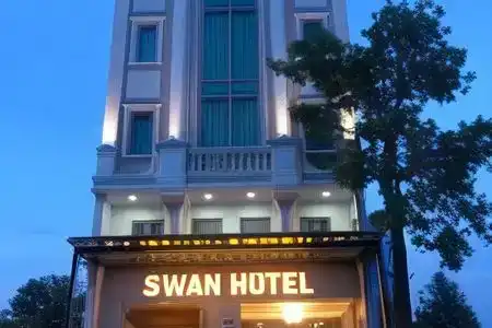 Swan - 1