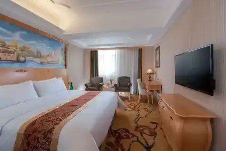 Vienna - 6