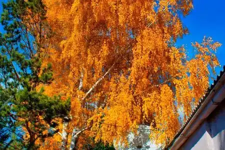 Tyan-Shan Guest House - 9