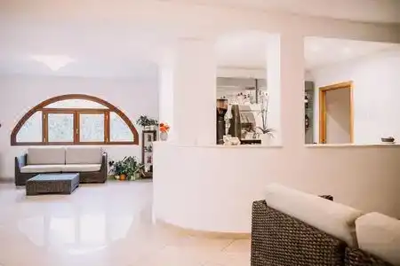 Magnolia - 6