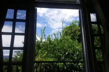 Bed and Breakfast Thamel - 82