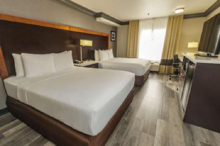 Comfort Inn & Suites Near Universal - N Hollywood - Burbank - 37