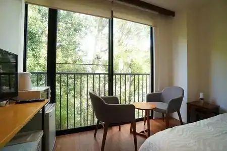 Bird Hostel - 3