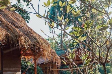 Little Eden Bungalows - 20