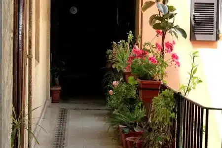 Mandruchello's - 4