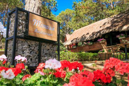 TTC Dreamy Hill Resort - 3