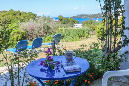 Pansion Pandora - 20