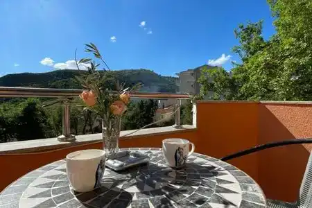 Vila Ivanovic - 2