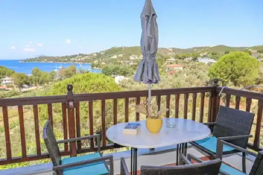 Pansion Pandora - 17