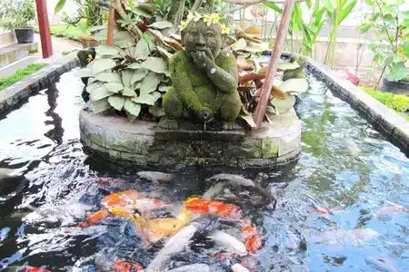 Bucu Guest House - 5