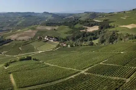 Rocche Costamagna Art Suites - 5