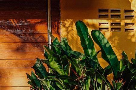 Little Eden Bungalows - 36
