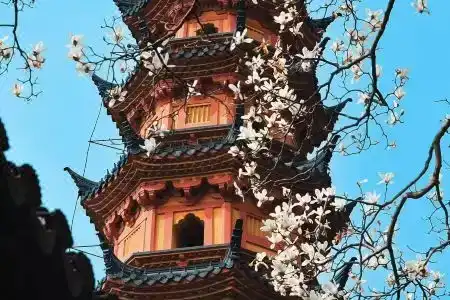 Suyan (Suzhou Shilu Metro Station Shantang Store) - 3