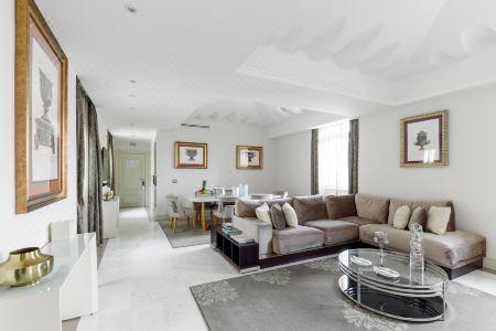 Aleph Rome, Curio Collection by Hilton - 9