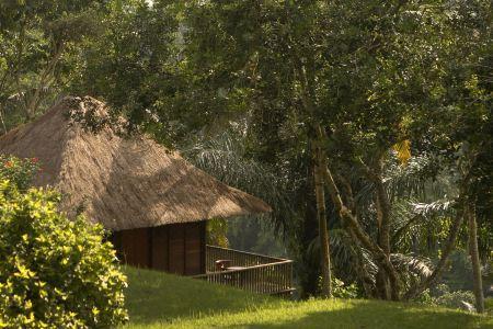 Alila Ubud - 46