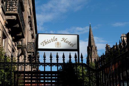 Thistle - 2