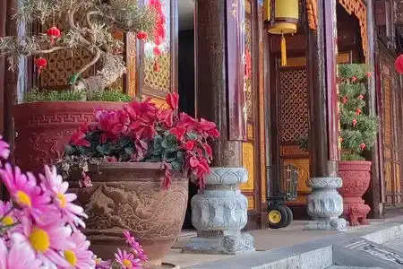 Lijiang Jinfu - 0