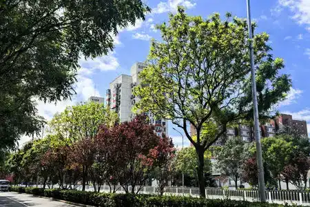 Pod Inn (Beijing Gulou Houhai) - 9
