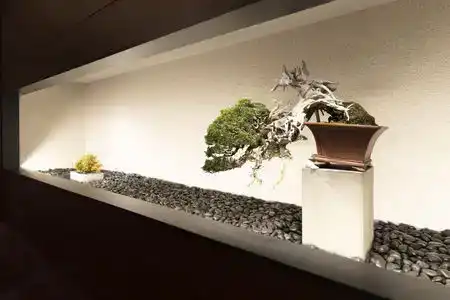 Shinzan Kinosaki - 5